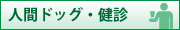 �ʹ֥ɥå������