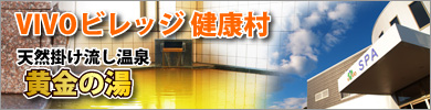 VIVO�ӥ�å���¼