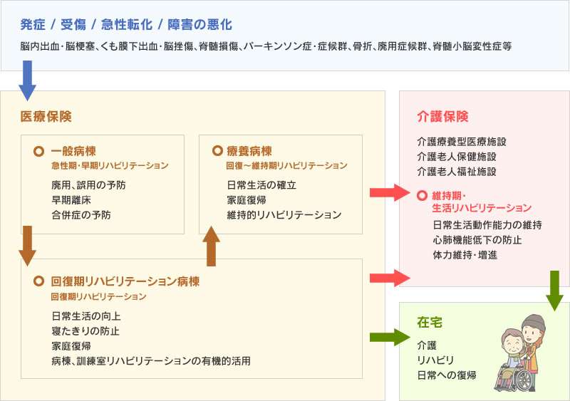 発症からリハビリまでの流れ